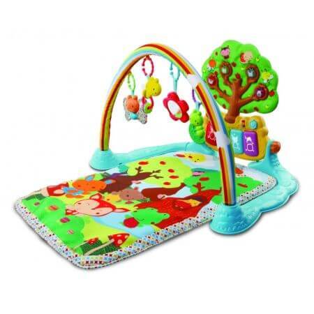 Play mats, 0-24 months, Vtech Baby