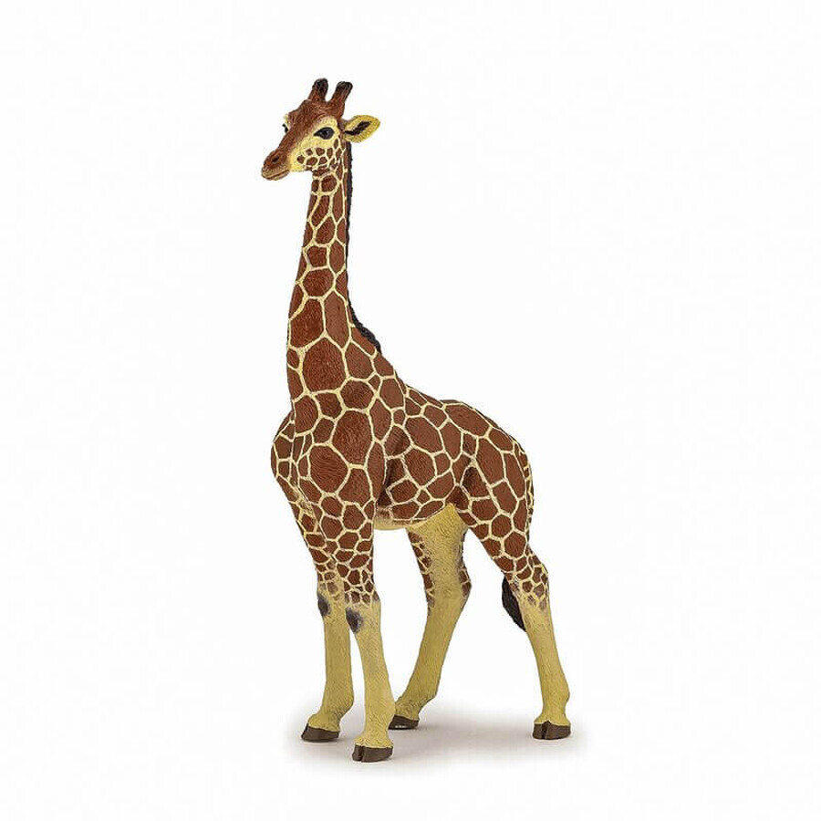 Figurine girafe mâle, +3 ans, Papo