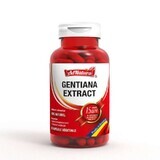 Extrait de Gentiane, 30 gélules, AdNatura