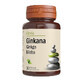 Ginkana Ginkgo Biloba 40 mg, 30 comprim&#233;s, Alevia