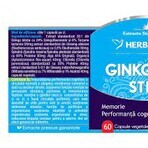Ginkgo 120 Stem, 120 gélules, Herbagetica