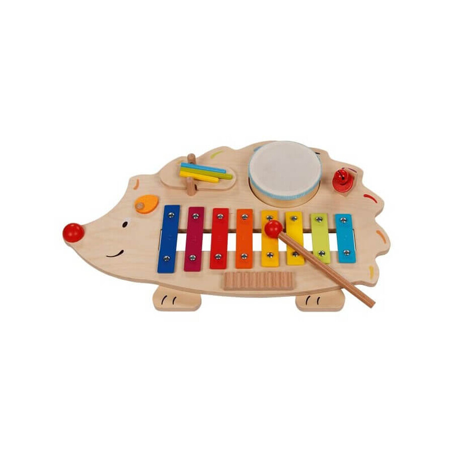 Aricel Ensemble d'instruments de musique 6 en 1, + 3 ans, Goki