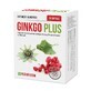 Ginkgo Plus, 30 g&#233;lules, Parapharm
