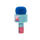 Microphone Peppa Pig, Reig