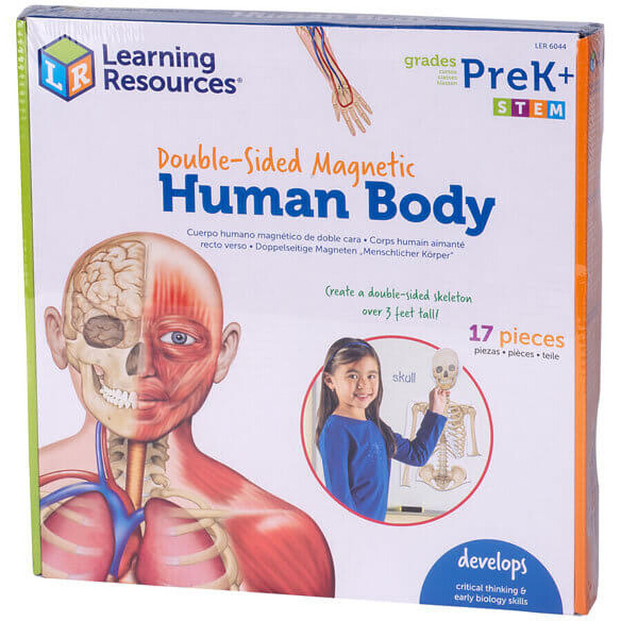 Ensemble magnétique du corps humain, Learning Resources