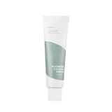 Soothing cream with wormwood extract, 50 ml, Isntree