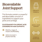 Glucosamine, acide hyaluronique, chondroïtine et MSM, 60 comprimés, Solgar