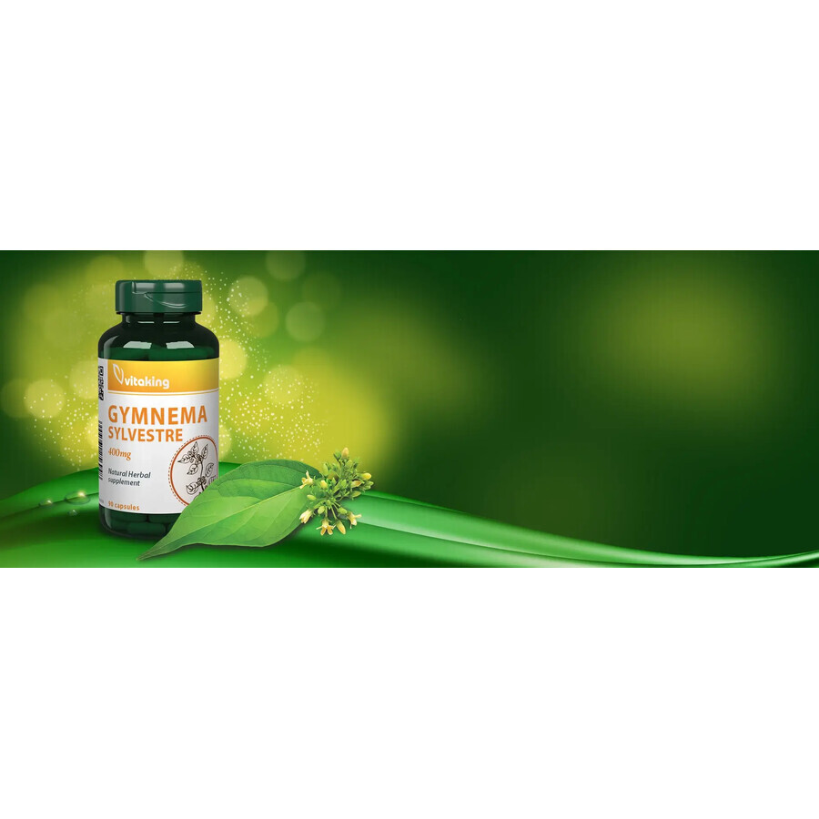 Gymnema Sylvestre 400 mg, 90 cápsulas, VitaKing