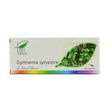 Gymnema sylvestre, 30 gélules, Pro Natura