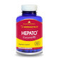 Hepato Curcumin95, 120 g&#233;lules, Herbagetica