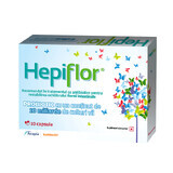 Hepiflor adulte, 10 gélules, Therapy