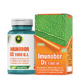 Imunobor D3 1000 IU, 60 Kapseln, Hypericum