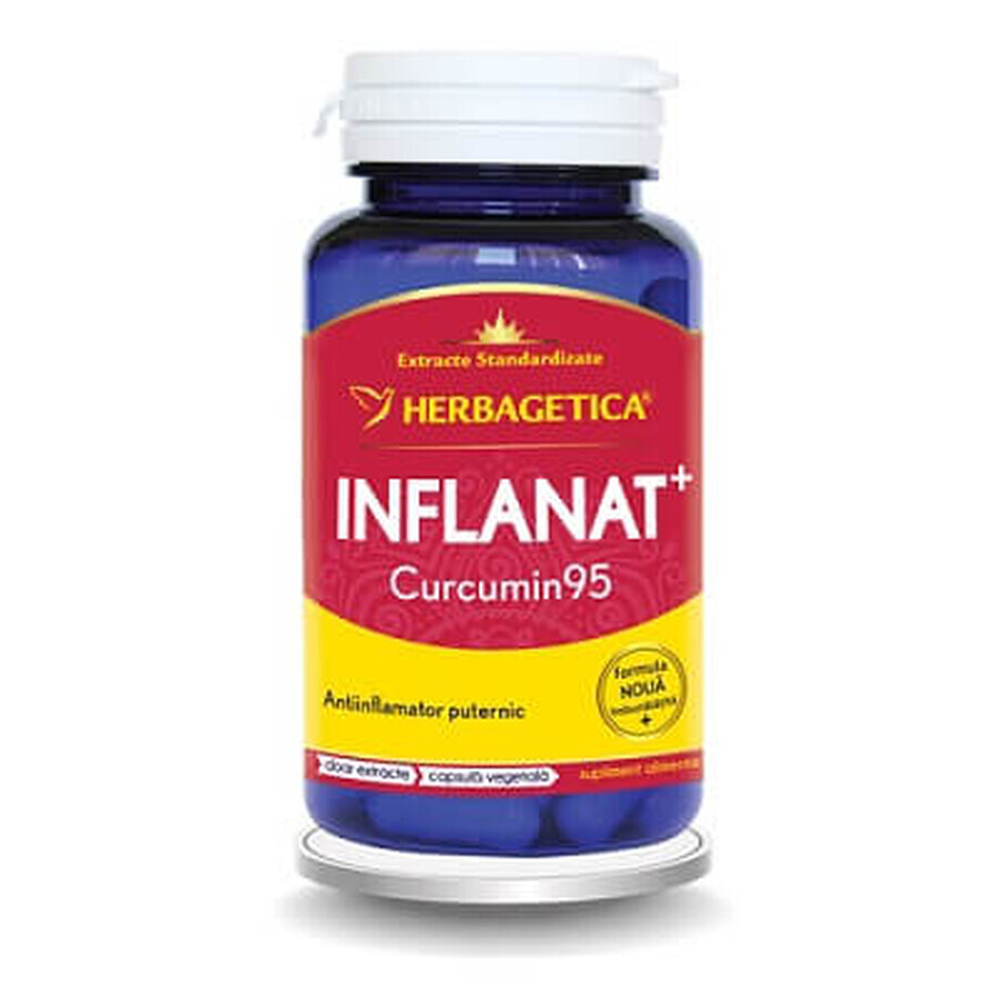Inflammé Curcumine95, 60 gélules, Herbagetica