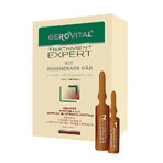 Kit de régénération capillaire Gerovital Expert Treatment, 10 flacons x 10 ml, 10 flacons x 5 ml , Farmec