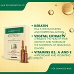 Kit de régénération capillaire Gerovital Expert Treatment, 10 flacons x 10 ml, 10 flacons x 5 ml , Farmec