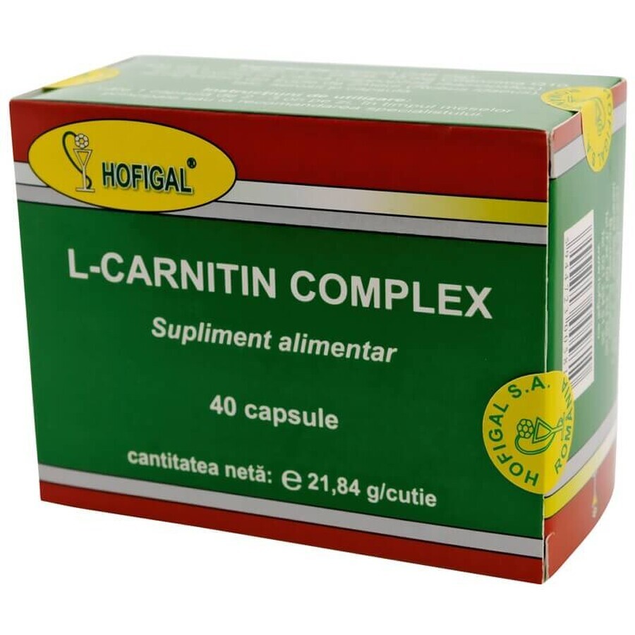 Complexe de L-Carnitine, 40 gélules, Hofigal