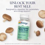 Lipotropic 1000 Plus Solaray, 100 capsule, Secom