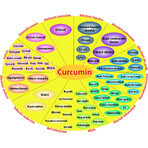 Curcumina liposomiale 95%, 60 capsule vegetali, Hypernatura