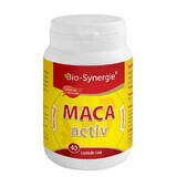 Maca Activ sexuelles Tonikum 400 mg, 40 Kapseln, Bio Synergie