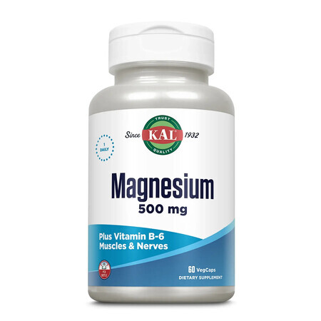 Magnesium 500mg Kal, 60 Kapseln, Secom