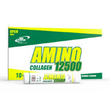 Amino 12500, 10 Fläschchen, Pro Nutrition