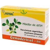 Mladite de Afin Gemoderivat, 30 doses, Hofigal