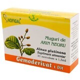 Gemmoderivat Black Alder Buds, 30 monodosi, Hofigal