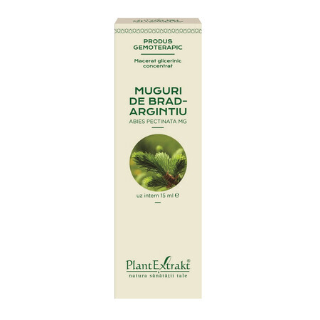 Bourgeons de sapin blanc, 15 ml, Plant Extrakt