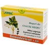 Black Currant Buds Gemoderivat, 30 single doses, Hofigal 