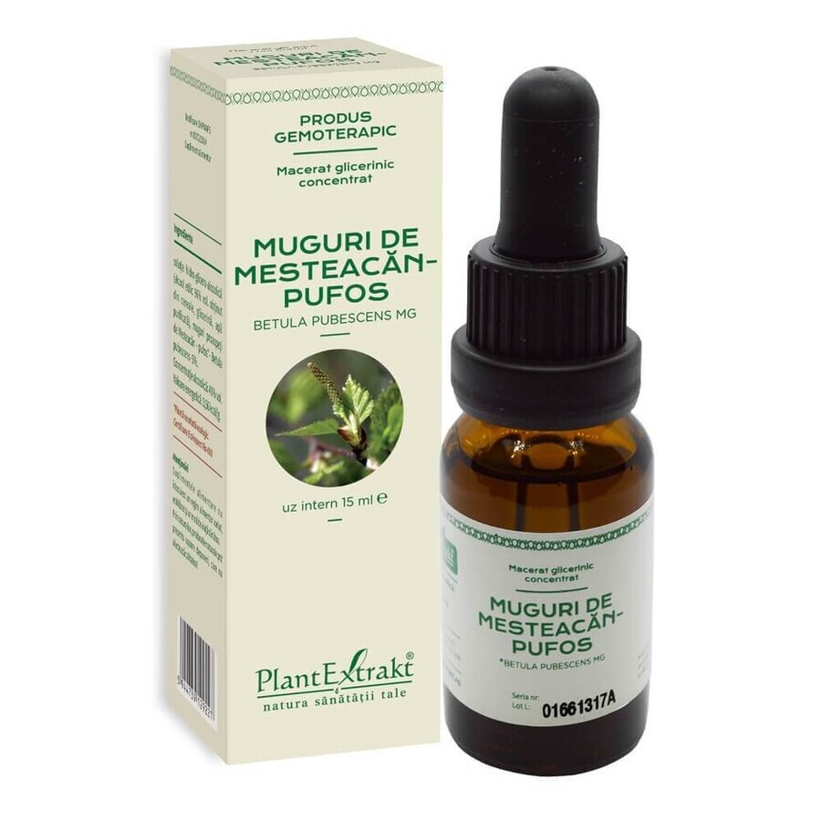 Muguri de mesteacan pufos, 15 ml, Plant Extrakt