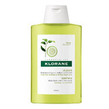 Shampooing à la pulpe d'agrumes pour les cheveux à tendance grasse, 200 ml, Klorane