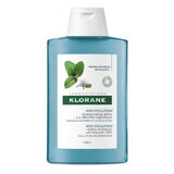 Shampooing détoxifiant à l'extrait de menthe aquatique pour les cheveux exposés à la pollution, 200 ml, Klorane