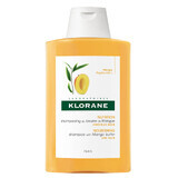 Shampooing nourrissant au beurre de mangue pour cheveux secs, 200 ml, Klorane