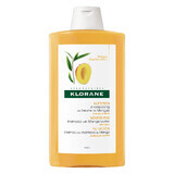 Shampoo nutriente al burro di mango per capelli secchi, 400 ml, Klorane