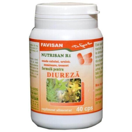 Nutrisan R1, 40 gélules, Favisan