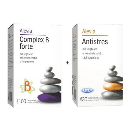 Paket Komplex B Forte, 100 Tabletten + Antistress, 30 Tabletten, Alevia