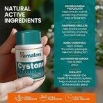 Cystone Package, 60 + 60 comprimés, Himalaya (10% de réduction)