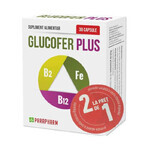 Paquet Glucofer Plus, 30 + 30 gélules, Parapharm