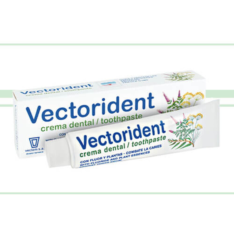 Vector Zahnpasta mit Mehl, 75 ml, Vectem