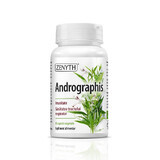 Andrographis 386 mg, 30 gélules végétales, Zenyth