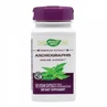 Andrographis SE Nature's Way, 60 capsules, Secom