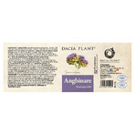 Artichoke, 60 tablets, Dacia Plant