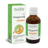 Polygemma 1, Maag, 50 ml, Plantenextrakt