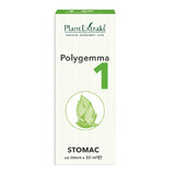 Polygemma 1, Estomac, 50 ml, Extraits de plantes