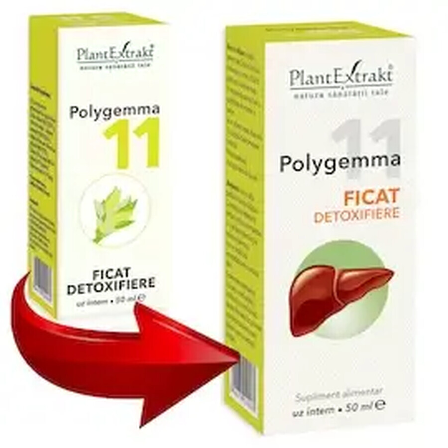 Polygemma 11 Disintossicazione del fegato, 50 ml, PlantExtrakt
