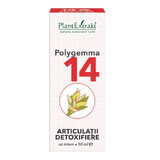 Polygemma 14, Joints détoxifiants, 50 ml, Extraits de plantes