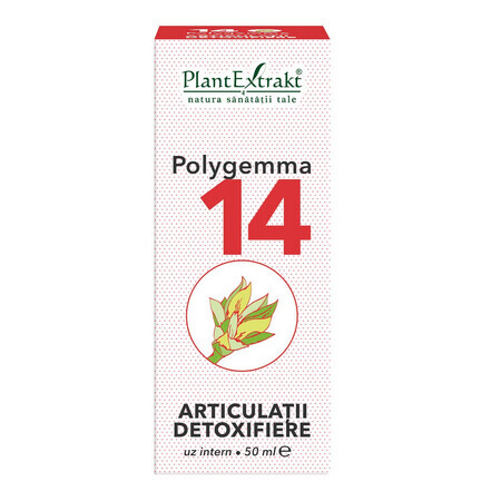 Polygemma 14, Entgiftende Gelenke, 50 ml, Pflanzenextrakt
