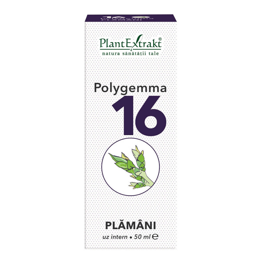 Polygemma 16, Polmoni, 50 ml, PlantExtrakt recensioni