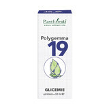 Polygemma 19 Glykämie, 50 ml, Pflanzenextrakt