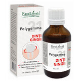 Polygemma 21 Dents, gencives, 50 ml, Plant Extrakt